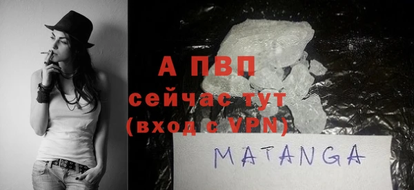 прущие грибы Гусиноозёрск