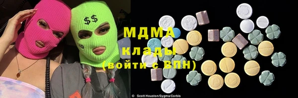 прущие грибы Гусиноозёрск