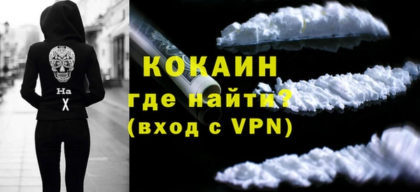 прущие грибы Гусиноозёрск