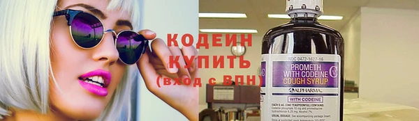 прущие грибы Гусиноозёрск