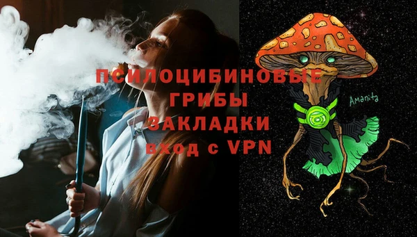 прущий лед Гусев