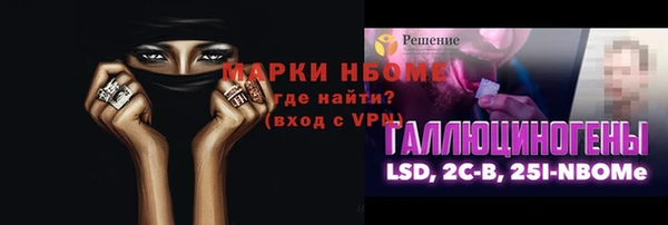 прущие грибы Гусиноозёрск