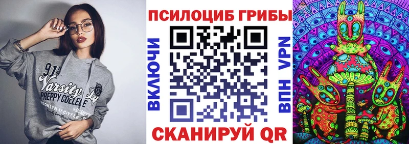 где можно купить   mega маркетплейс  Псилоцибиновые грибы Psilocybe  Заводоуковск 